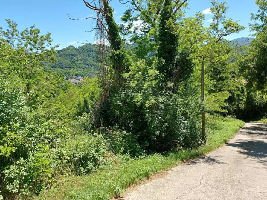 Immagine 7 di Terreno in vendita  in Via Candido Michelacci, N. Snc a Santa Sofia