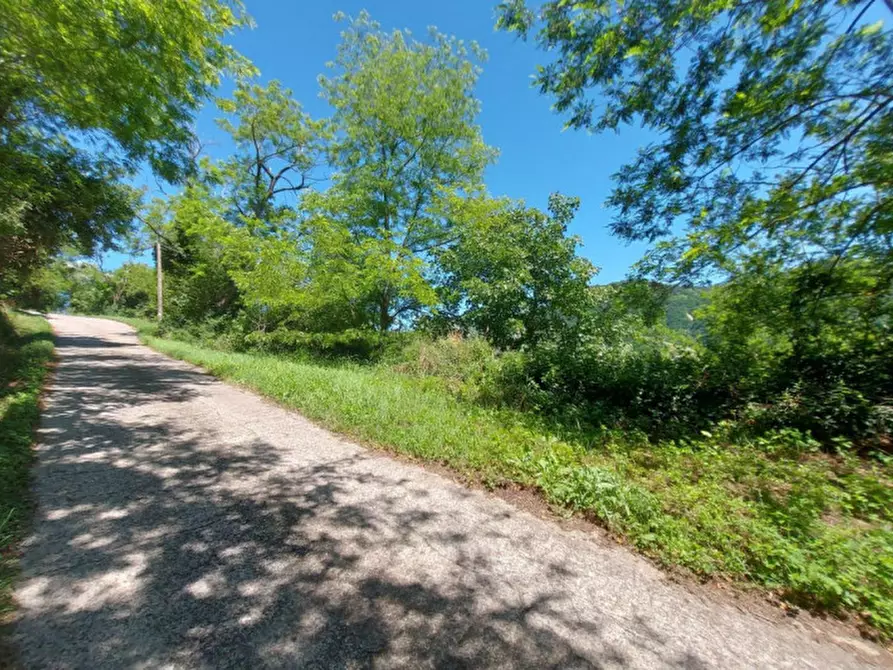 Immagine 11 di Terreno in vendita  in Via Candido Michelacci, N. Snc a Santa Sofia