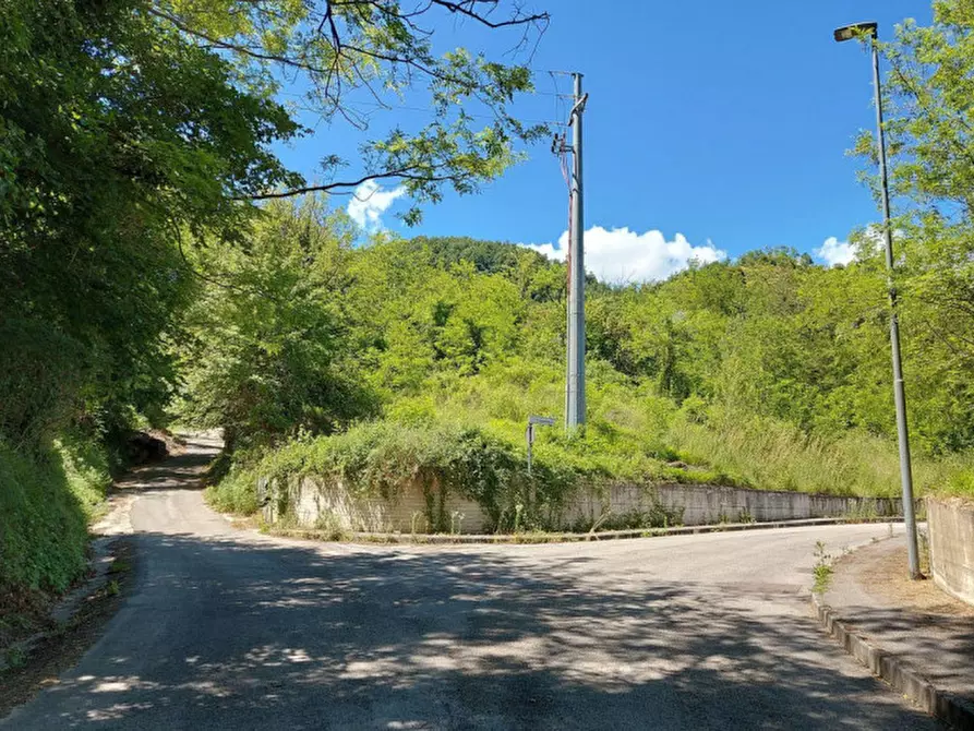 Immagine 13 di Terreno in vendita  in Via Candido Michelacci, N. Snc a Santa Sofia