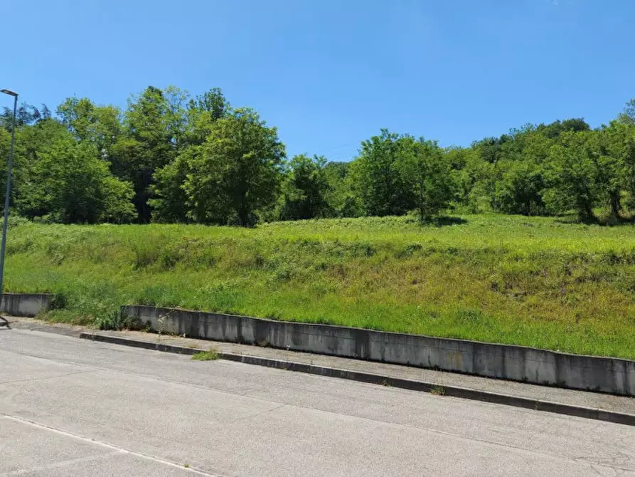 Immagine 14 di Terreno in vendita  in Via Candido Michelacci, N. Snc a Santa Sofia