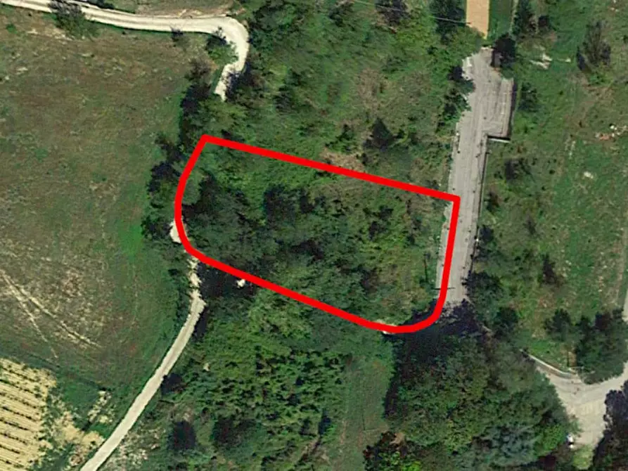 Immagine 23 di Terreno in vendita  in Via Candido Michelacci, N. Snc a Santa Sofia