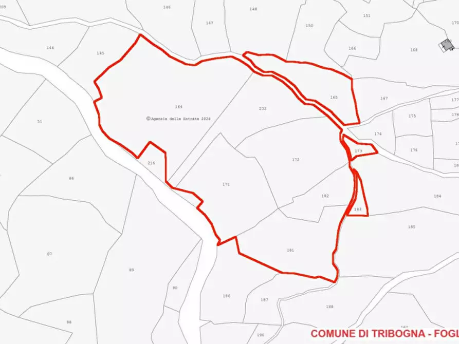 Immagine 2 di Terreno in vendita  in SP333 e Via Chesta, N. snc a Tribogna