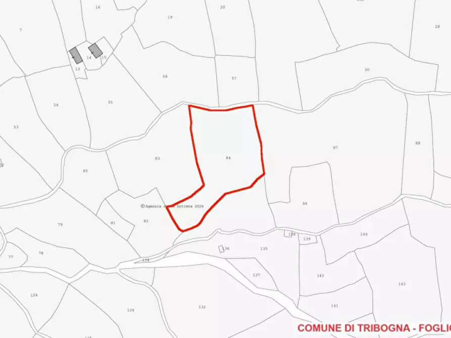 Immagine 4 di Terreno in vendita  in SP333 e Via Chesta, N. snc a Tribogna