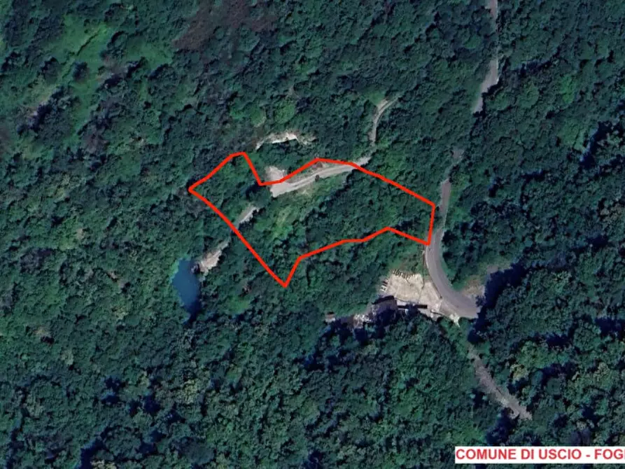 Immagine 5 di Terreno in vendita  in SP333 e Via Chesta, N. snc a Tribogna