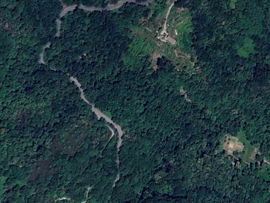 Immagine 7 di Terreno in vendita  in SP333 e Via Chesta, N. snc a Tribogna