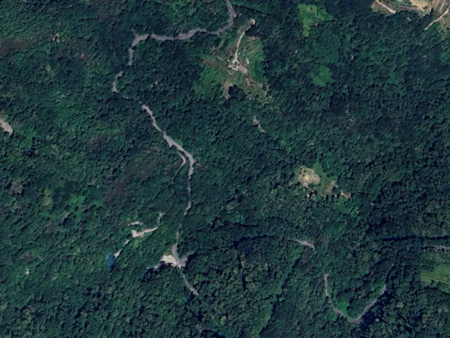 Immagine 8 di Terreno in vendita  in SP333 e Via Chesta, N. snc a Tribogna