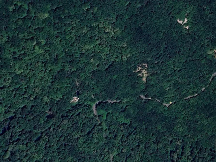 Immagine 9 di Terreno in vendita  in SP333 e Via Chesta, N. snc a Tribogna