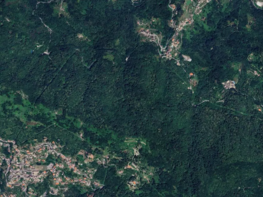 Immagine 10 di Terreno in vendita  in SP333 e Via Chesta, N. snc a Tribogna