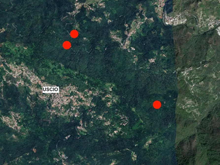 Immagine 16 di Terreno in vendita  in SP333 e Via Chesta, N. snc a Tribogna