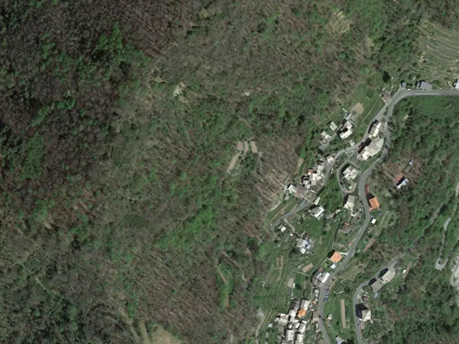 Immagine 3 di Terreno in vendita  in Via Costa/Via Mora, N. snc a Orero