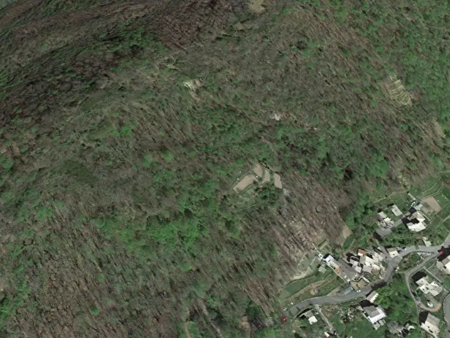 Immagine 4 di Terreno in vendita  in Via Costa/Via Mora, N. snc a Orero