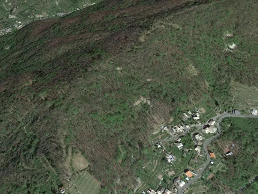 Immagine 5 di Terreno in vendita  in Via Costa/Via Mora, N. snc a Orero