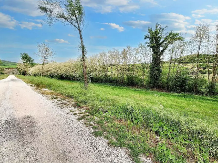 Immagine 7 di Terreno in vendita  in Via Antonio Meucci, N. snc a Cagli