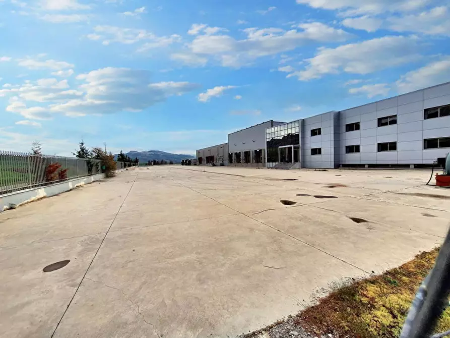 Immagine 1 di Capannone industriale in vendita  in c.da Porrazzi, N. snc a Ciminna