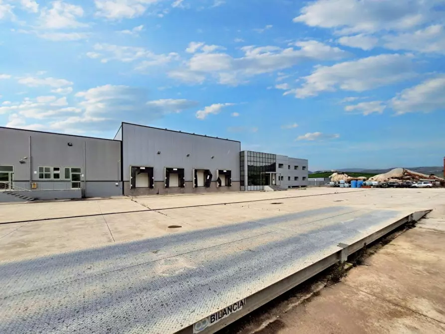 Immagine 6 di Capannone industriale in vendita  in c.da Porrazzi, N. snc a Ciminna