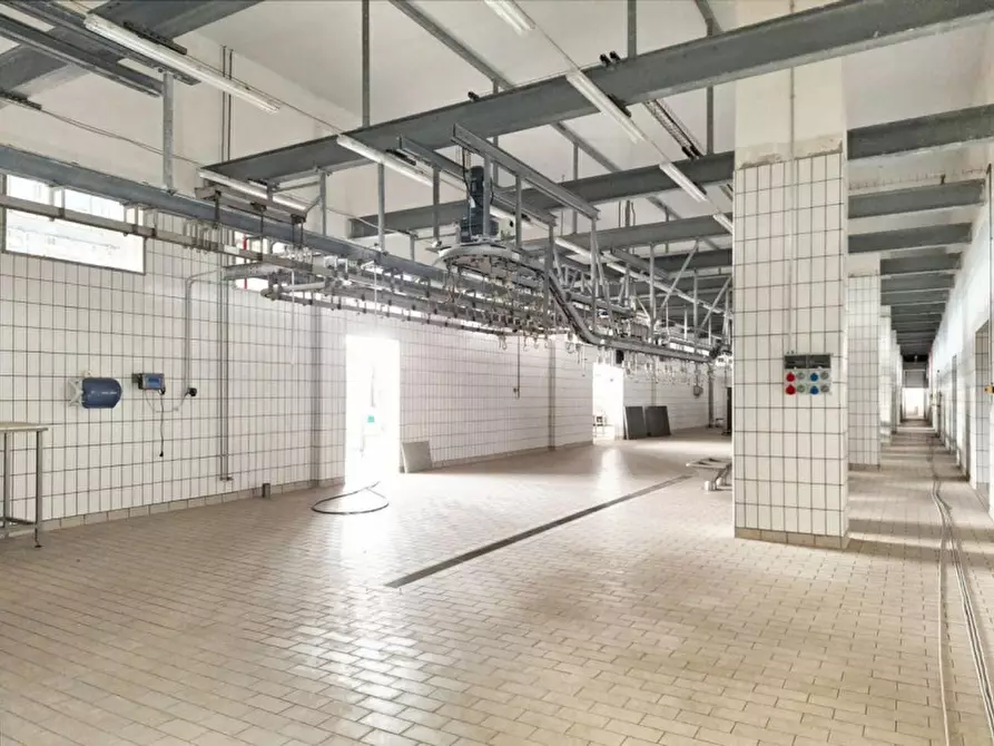 Immagine 20 di Capannone industriale in vendita  in c.da Porrazzi, N. snc a Ciminna