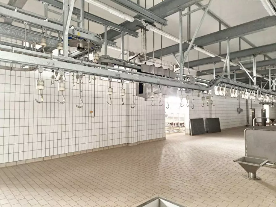 Immagine 21 di Capannone industriale in vendita  in c.da Porrazzi, N. snc a Ciminna