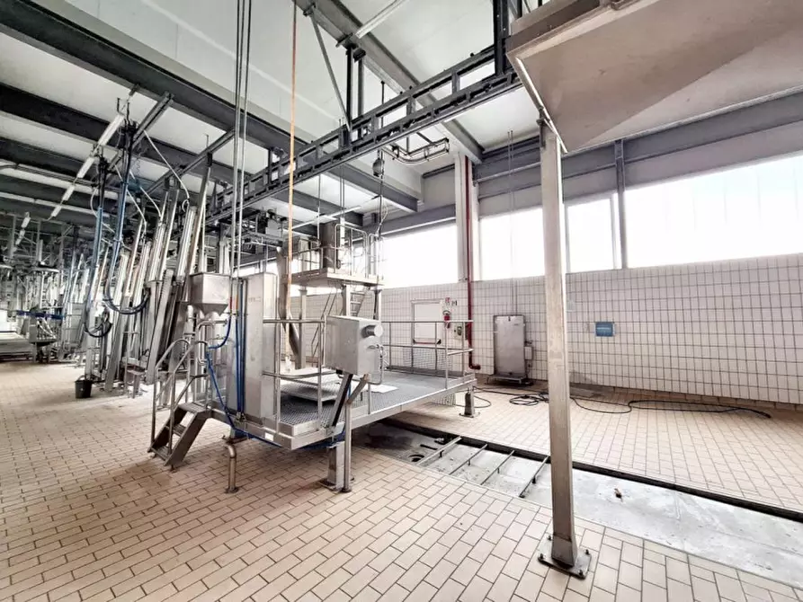 Immagine 22 di Capannone industriale in vendita  in c.da Porrazzi, N. snc a Ciminna