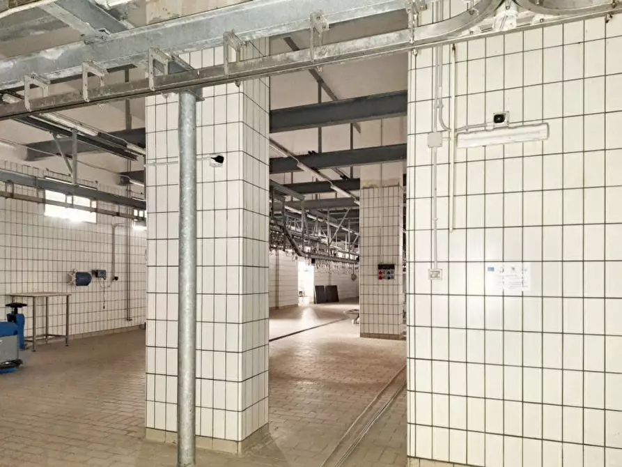 Immagine 25 di Capannone industriale in vendita  in c.da Porrazzi, N. snc a Ciminna