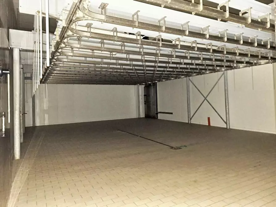 Immagine 26 di Capannone industriale in vendita  in c.da Porrazzi, N. snc a Ciminna