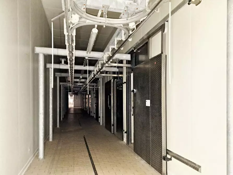 Immagine 27 di Capannone industriale in vendita  in c.da Porrazzi, N. snc a Ciminna