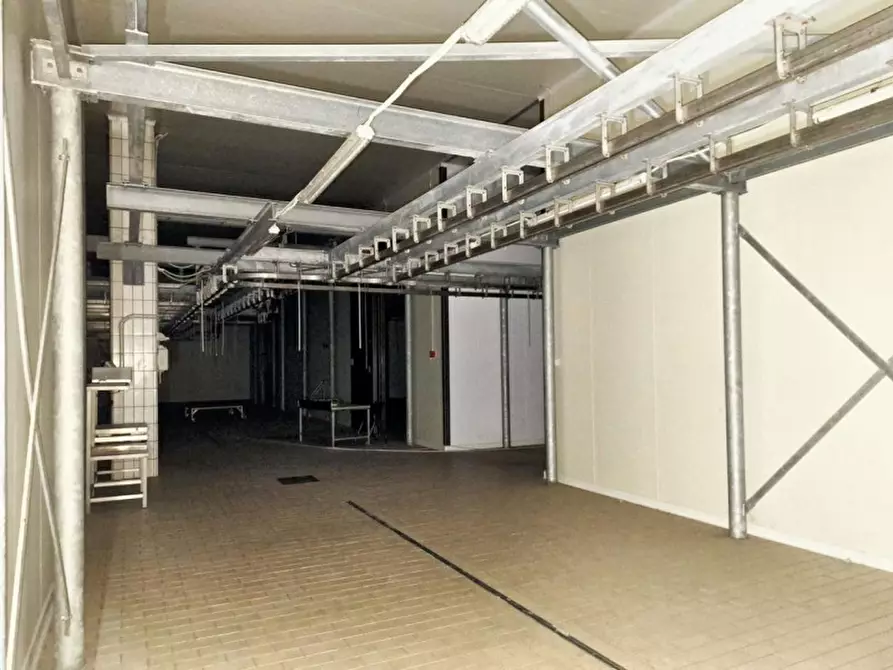 Immagine 28 di Capannone industriale in vendita  in c.da Porrazzi, N. snc a Ciminna