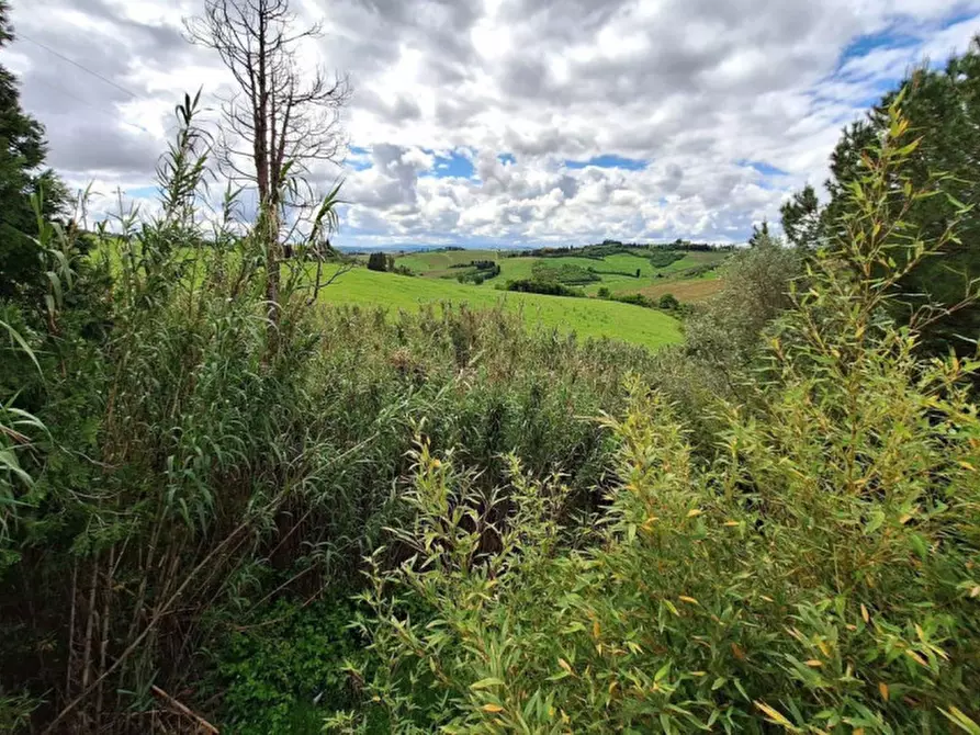 Immagine 7 di Terreno in vendita  in Via di Strognano, N. 4/A a Cerreto Guidi