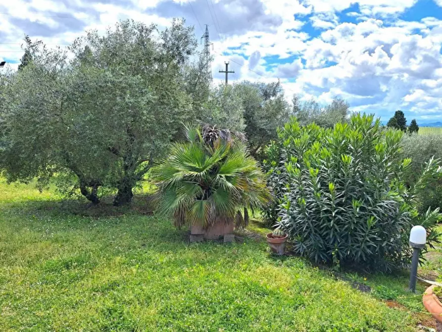Immagine 10 di Terreno in vendita  in Via di Strognano, N. 4/A a Cerreto Guidi