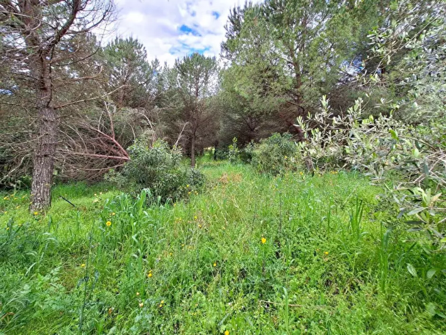 Immagine 13 di Terreno in vendita  in Via di Strognano, N. 4/A a Cerreto Guidi