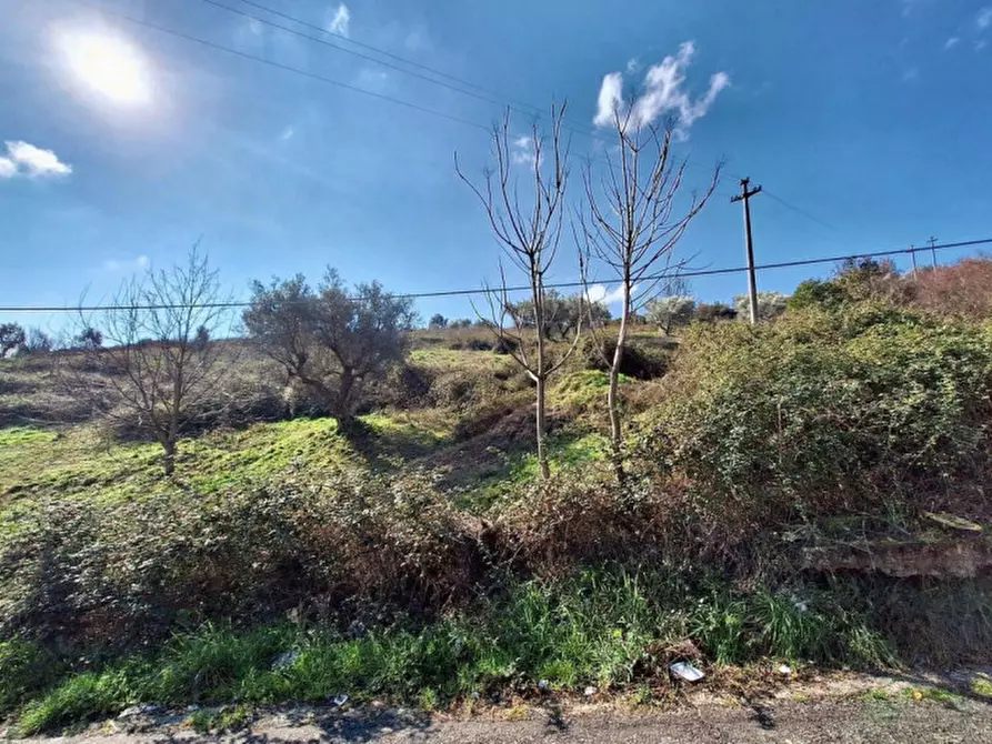 Immagine 3 di Terreno in vendita  in Via Domenico Gaudio, N. snc a Cosenza
