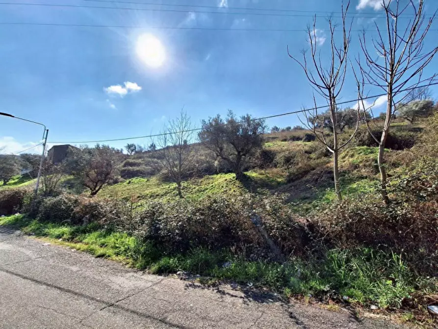 Immagine 4 di Terreno in vendita  in Via Domenico Gaudio, N. snc a Cosenza