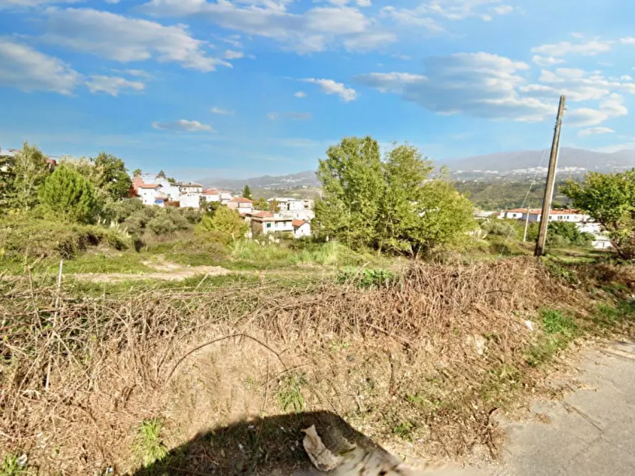 Immagine 6 di Terreno in vendita  in Via Domenico Gaudio, N. snc a Cosenza