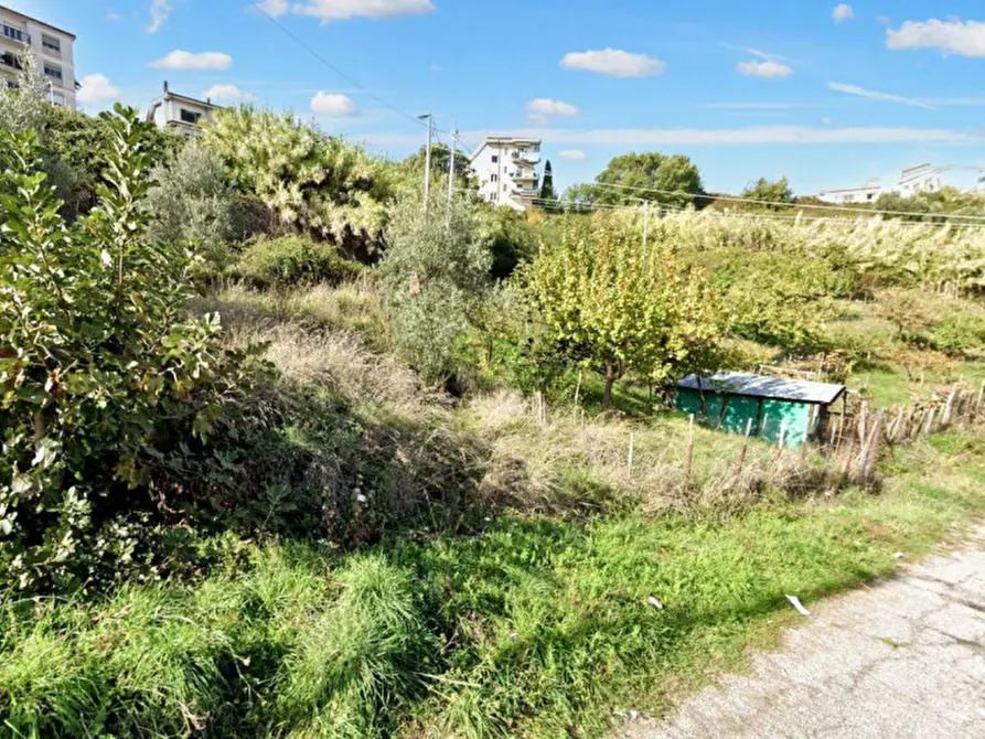 Immagine 9 di Terreno in vendita  in Via Tommaso Arnoni/Via Domenico Gaudio, N. snc a Cosenza