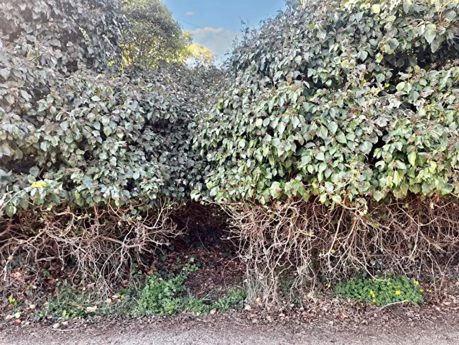 Immagine 9 di Casa indipendente in vendita  in Strada Comunale 69 Bruchito, N. snc a Enna