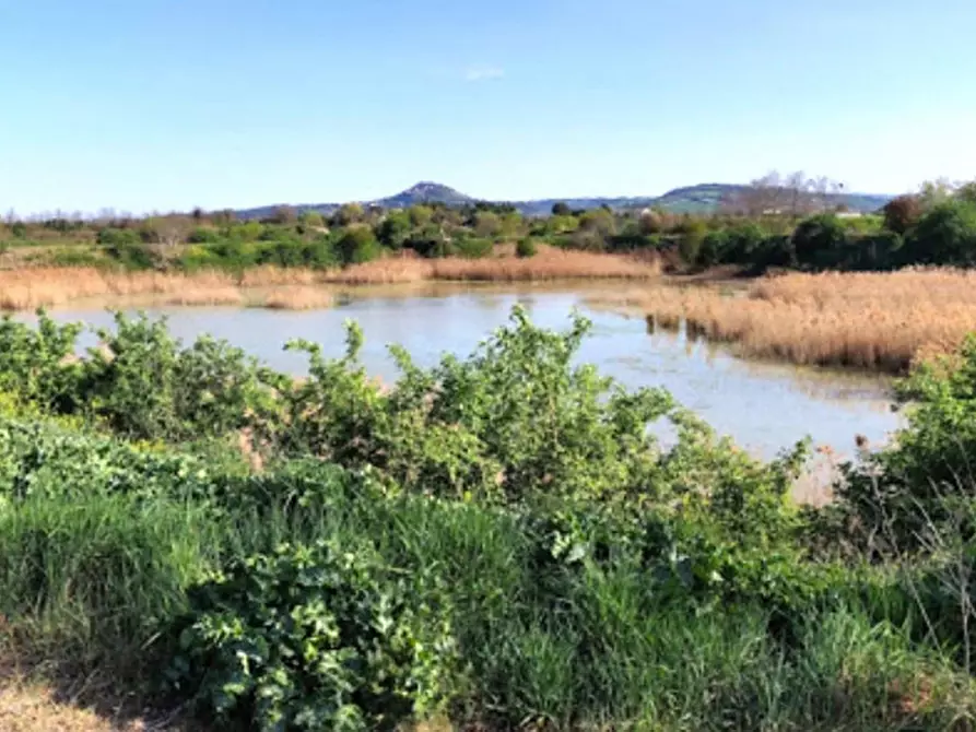 Immagine 1 di Terreno in vendita  in Via Bertaccini, N. 1 a Forlimpopoli
