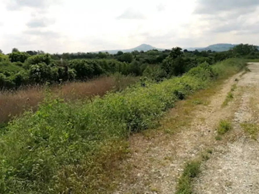 Immagine 2 di Terreno in vendita  in Via Bertaccini, N. 1 a Forlimpopoli