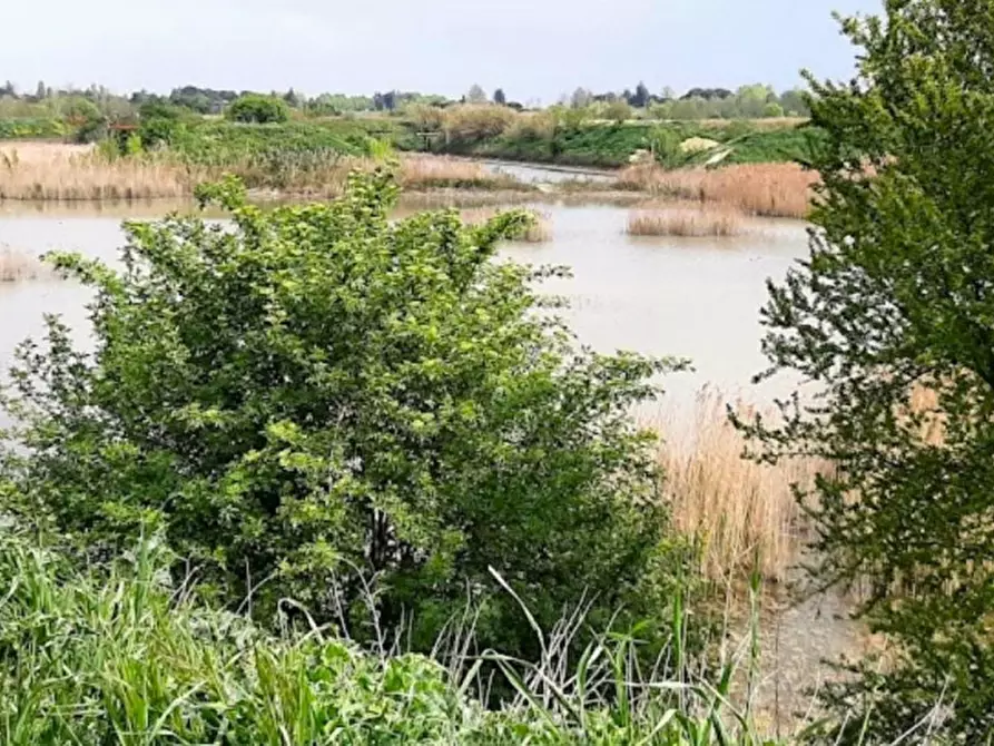 Immagine 4 di Terreno in vendita  in Via Bertaccini, N. 1 a Forlimpopoli