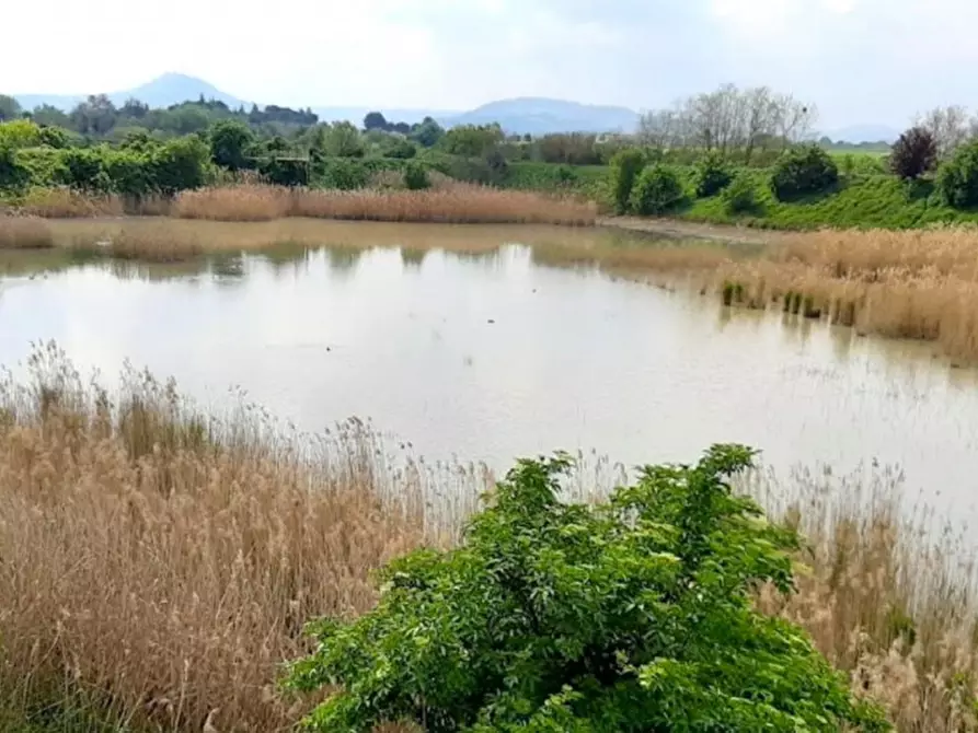 Immagine 5 di Terreno in vendita  in Via Bertaccini, N. 1 a Forlimpopoli