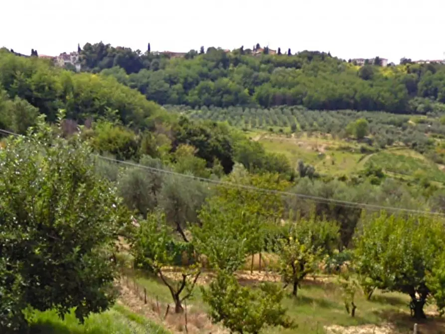 Immagine 2 di Terreno in vendita  in Via Terricciolese, N. snc a Terricciola