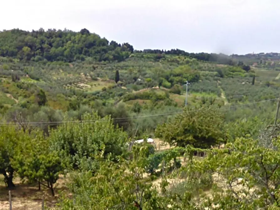 Immagine 3 di Terreno in vendita  in Via Terricciolese, N. snc a Terricciola