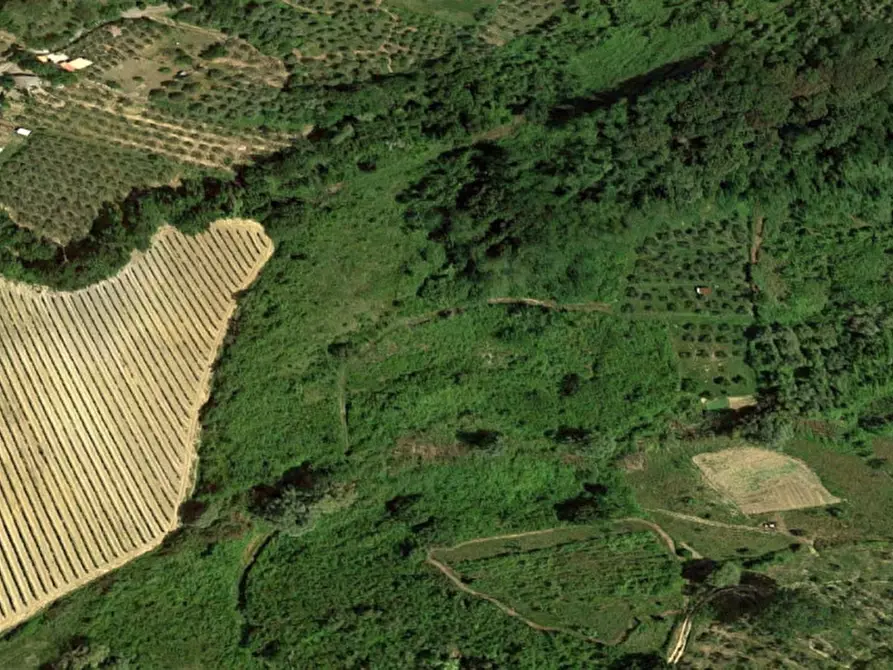 Immagine 4 di Terreno in vendita  in Via Terricciolese, N. snc a Terricciola