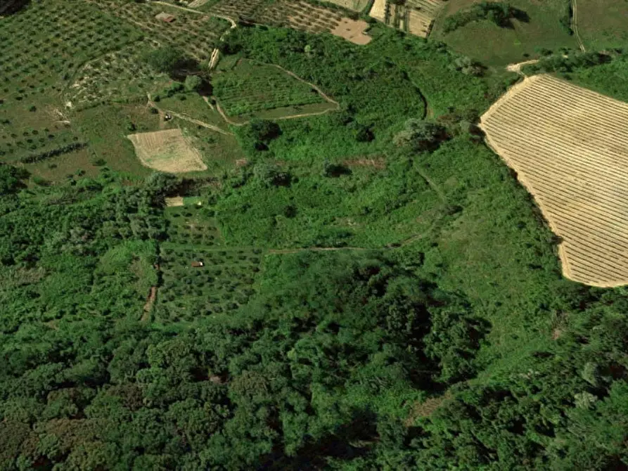 Immagine 5 di Terreno in vendita  in Via Terricciolese, N. snc a Terricciola