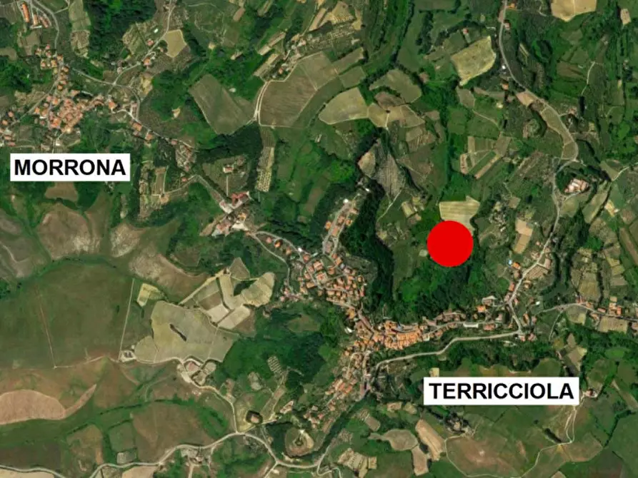 Immagine 12 di Terreno in vendita  in Via Terricciolese, N. snc a Terricciola