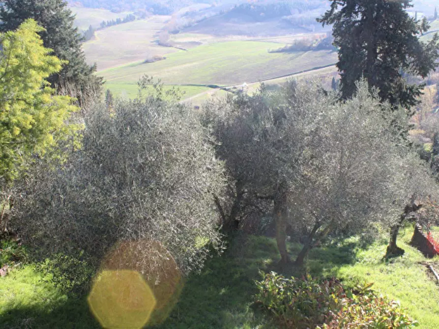 Immagine 4 di Terreno in vendita  in Via Don Minzoni, N. snc a Peccioli