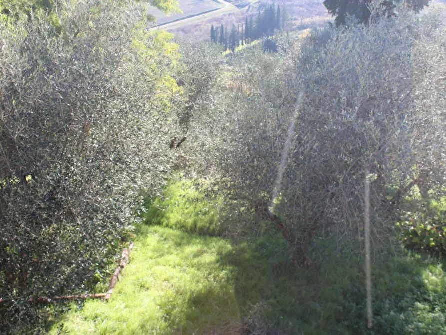 Immagine 7 di Terreno in vendita  in Via Don Minzoni, N. snc a Peccioli