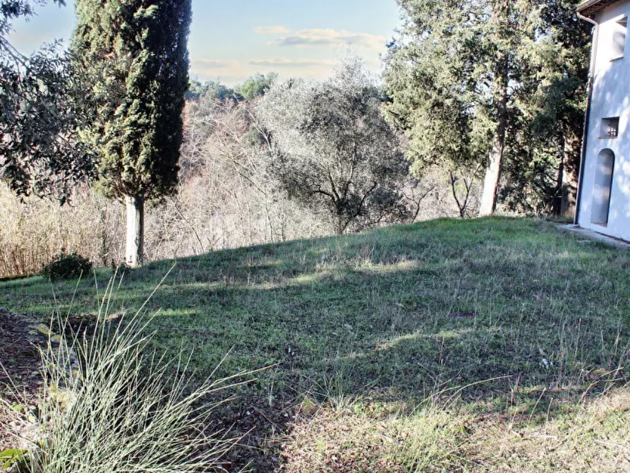 Immagine 2 di Rustico / casale in vendita  in Loc. Vallicci, N. snc a Palaia