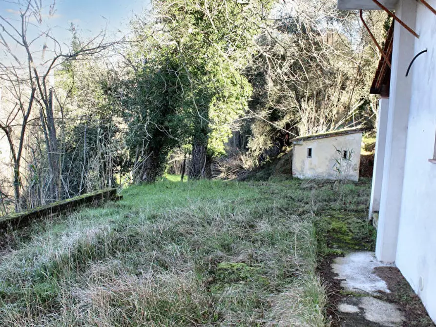 Immagine 3 di Rustico / casale in vendita  in Loc. Vallicci, N. snc a Palaia