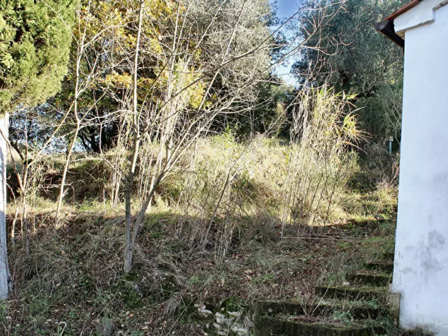 Immagine 4 di Rustico / casale in vendita  in Loc. Vallicci, N. snc a Palaia