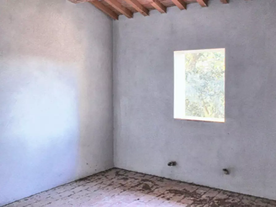 Immagine 19 di Rustico / casale in vendita  in Loc. Vallicci, N. snc a Palaia