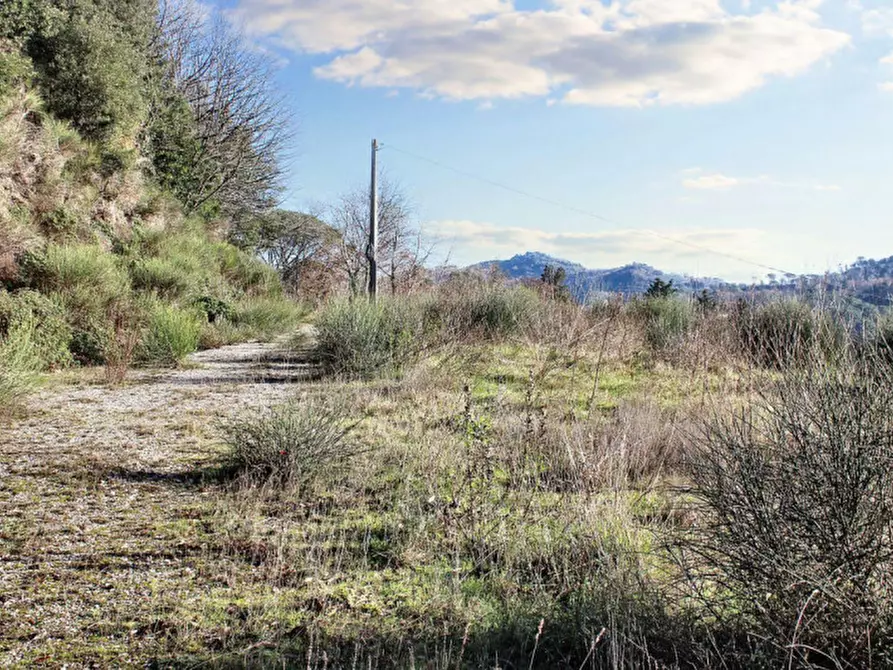 Immagine 22 di Rustico / casale in vendita  in Loc. Vallicci, N. snc a Palaia